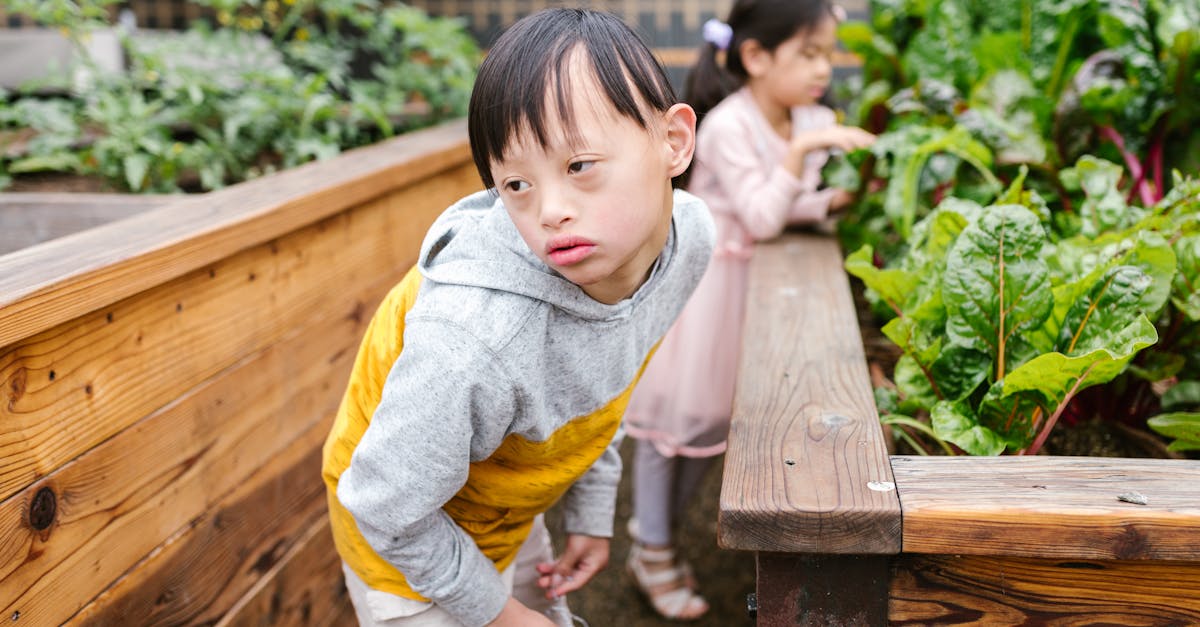 Speech Therapy Techniques for Phonological Disorders